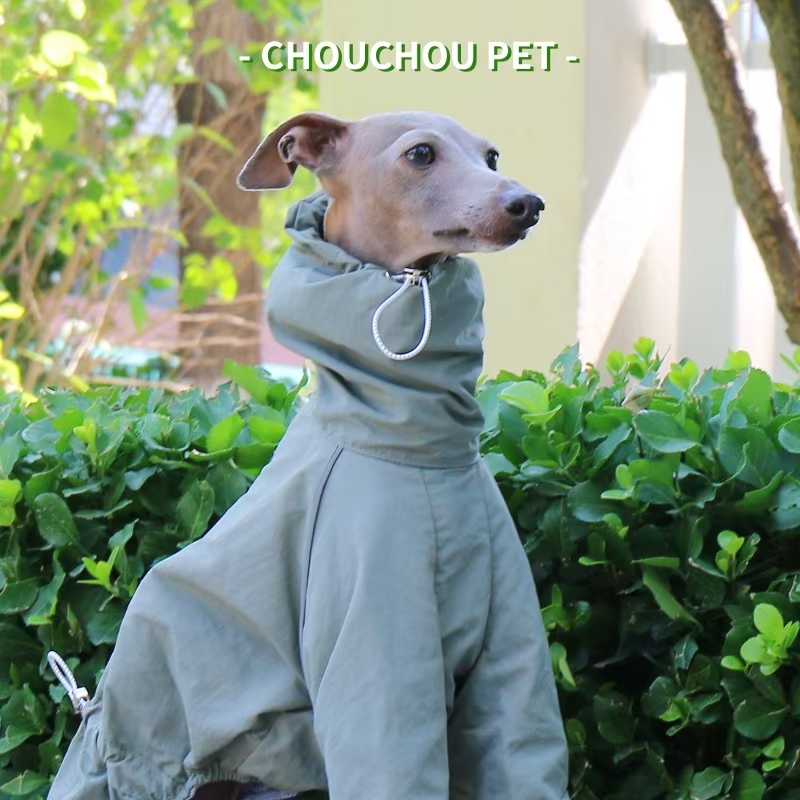 Dog Raincoat - معطف واق من المطر السلوقي الإيطالي