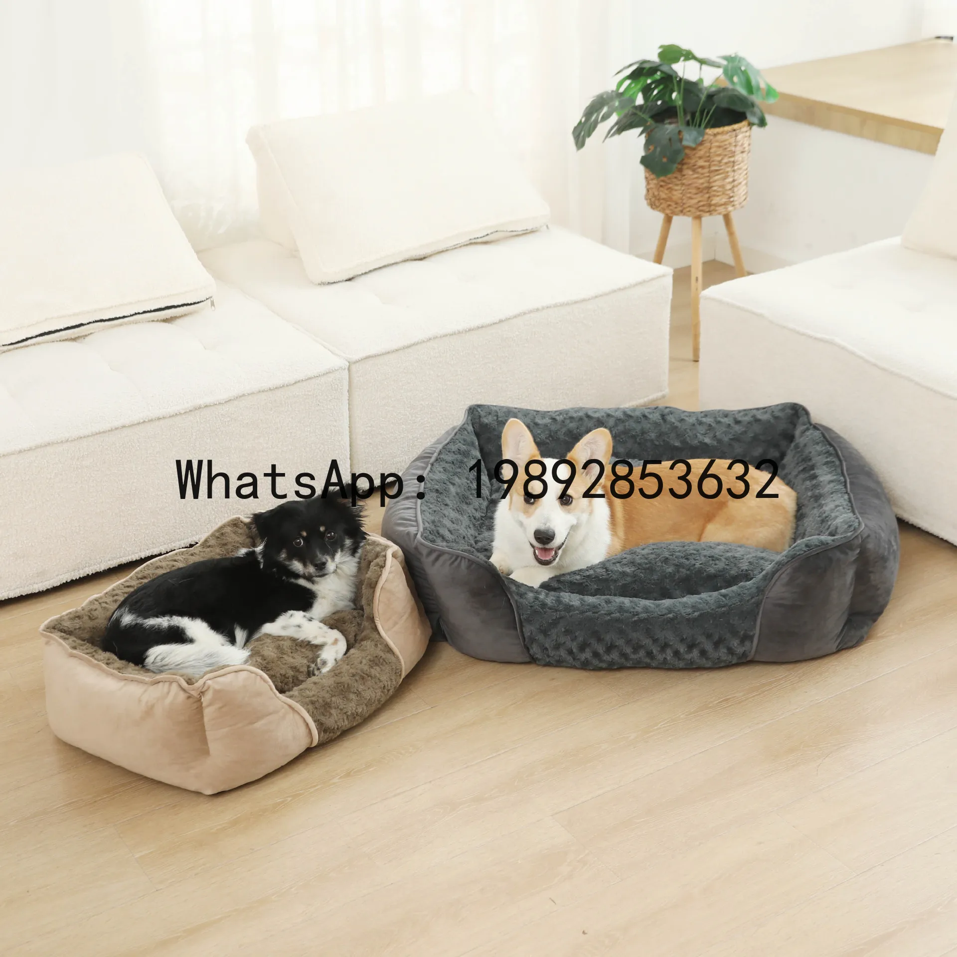 Pet X Supplies & Tack Grooming - بيت للقطط شبه مغلق، حظيرة للكلاب