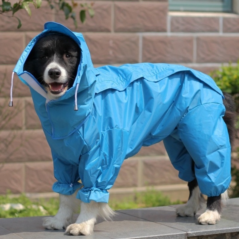 في الهواء الطلق الكلب معطف واق - مراجعة Dog Raincoat وسعره