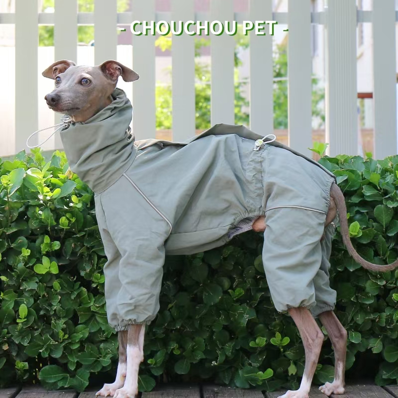 معطف واق من المطر السلوقي الإي - مراجعة Dog Raincoat وسعره