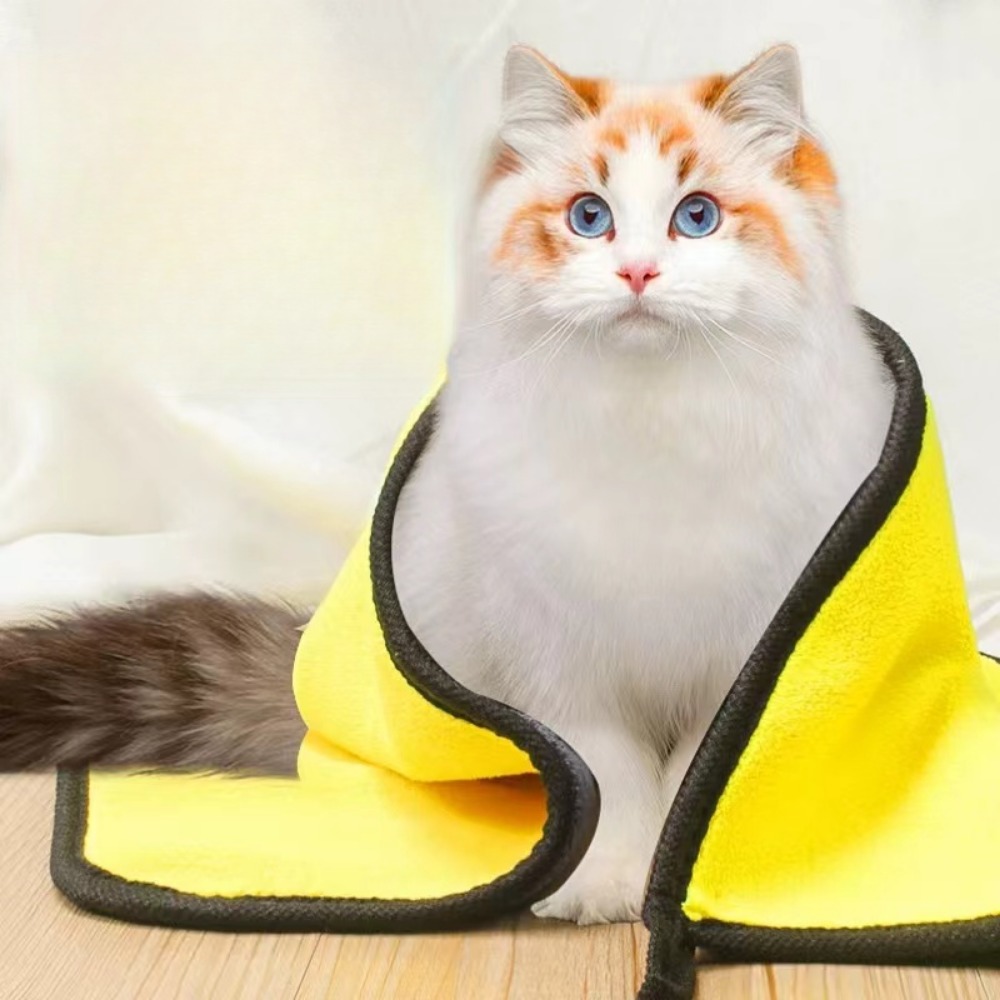 E5 التجفيف السريع كلب الملحقات - مراجعة Pet Supplies Pet Shop وسعره