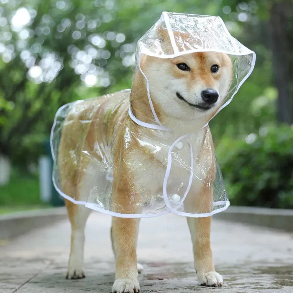 الكلب معطف واق من المطر جرو مل - مراجعة Dog Raincoat وسعره