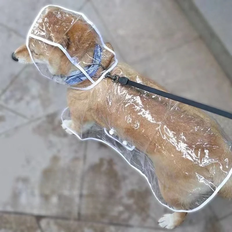 الكلب معطف واق من المطر جرو مل - مراجعة Dog Raincoat وسعره