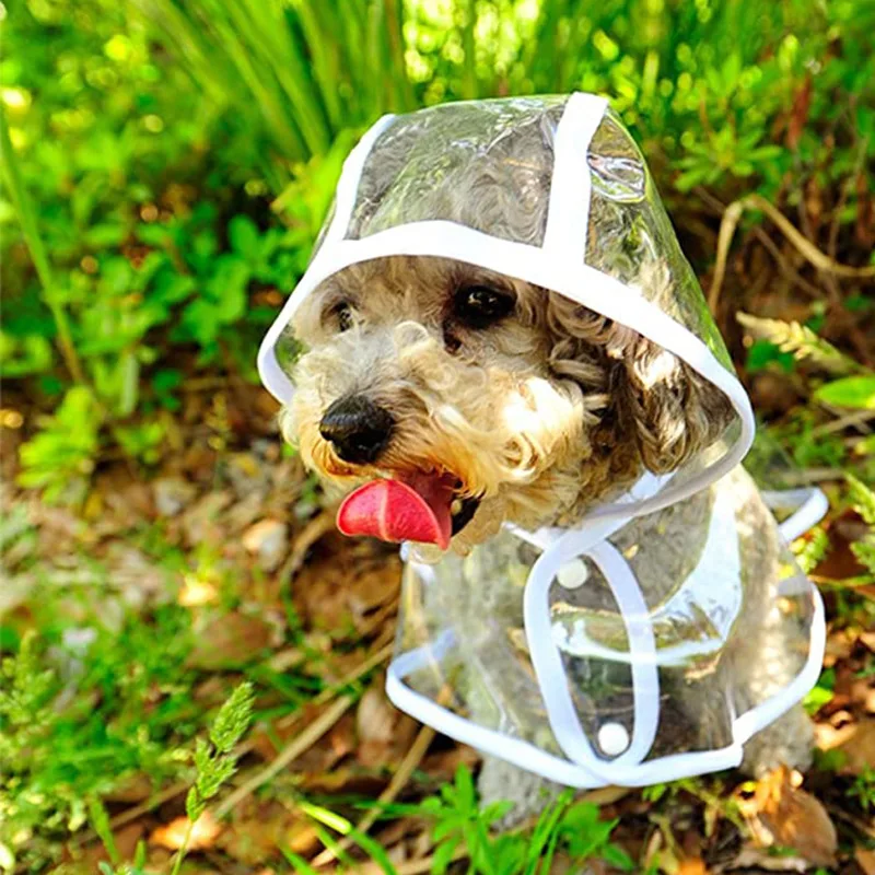 الكلب معطف واق من المطر جرو مل - مراجعة Dog Raincoat وسعره