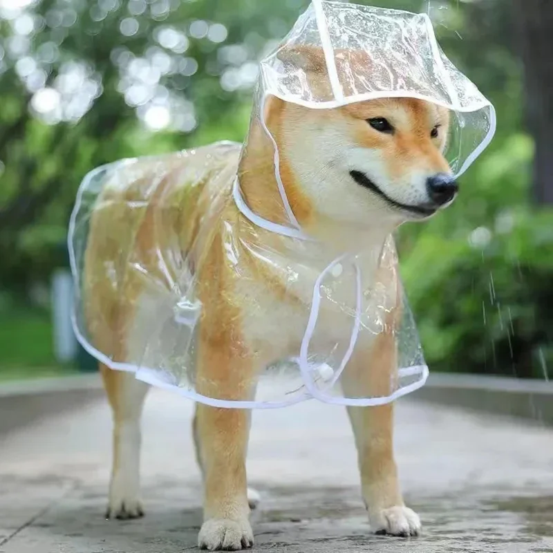 الكلب معطف واق من المطر جرو مل - مراجعة Dog Raincoat وسعره