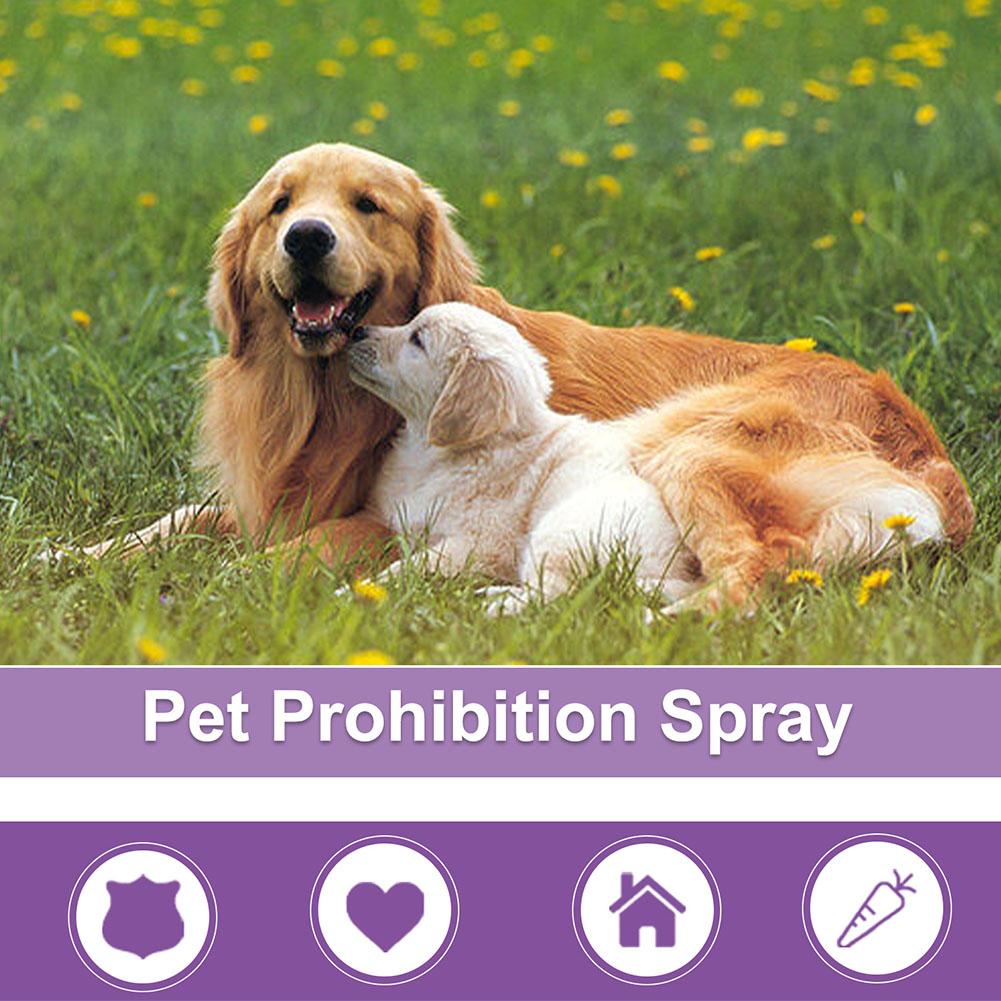 بخاخ مهدئ للحيوانات الأليفة، م - مراجعة Pet Supplies App وسعره