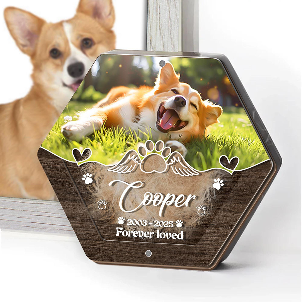 اسم شخصي خشبي نحت صندوق تخزين  - مراجعة Pet Supplies App وسعره