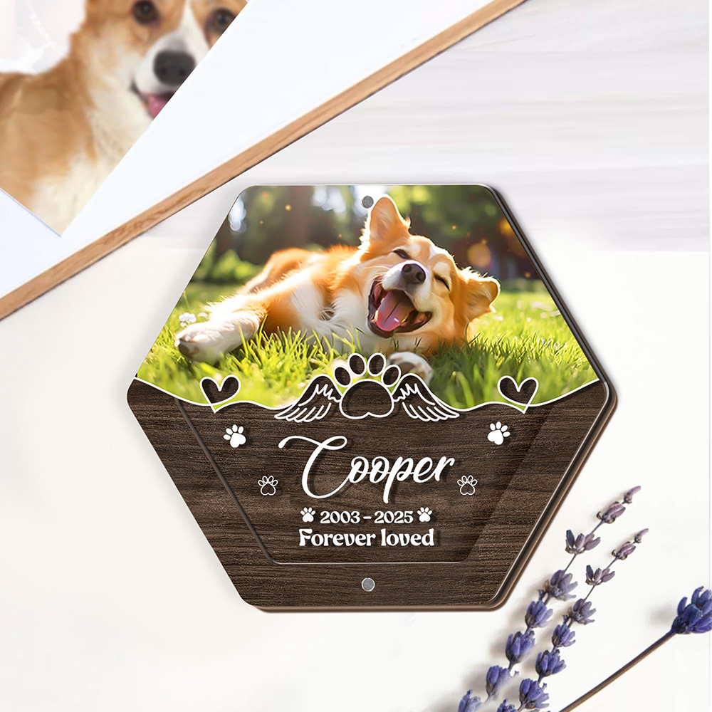 اسم شخصي خشبي نحت صندوق تخزين  - مراجعة Pet Supplies App وسعره