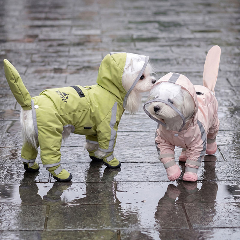 معطف واقٍ من المطر للكلاب مقاو - مراجعة Dog Raincoat وسعره