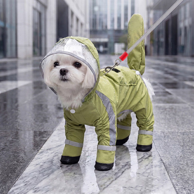 معطف واقٍ من المطر للكلاب مقاو - مراجعة Dog Raincoat وسعره