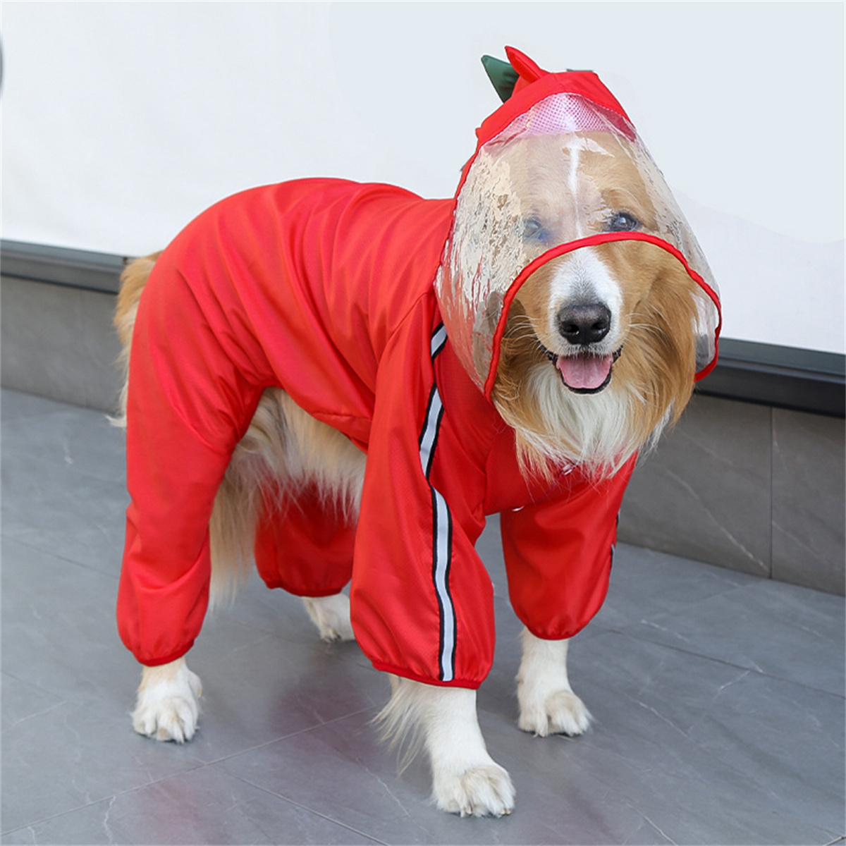 معطف واق من المطر للكلاب مقاوم - مراجعة Dog Raincoat وسعره