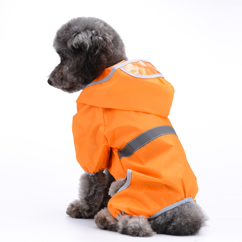معطف واق من المطر للكلاب، ملاب - مراجعة Dog Raincoat وسعره