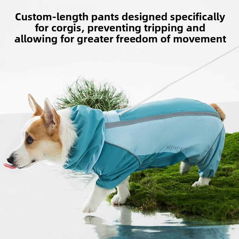 معطف واقٍ من المطر للكلاب بتغط - مراجعة Dog Raincoat وسعره
