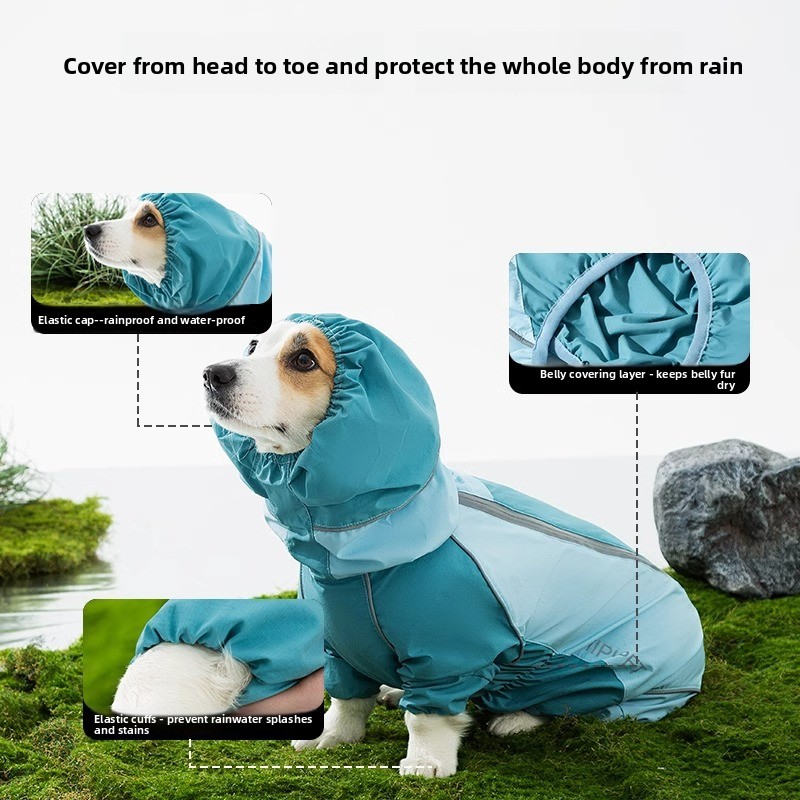 معطف واقٍ من المطر للكلاب بتغط - مراجعة Dog Raincoat وسعره