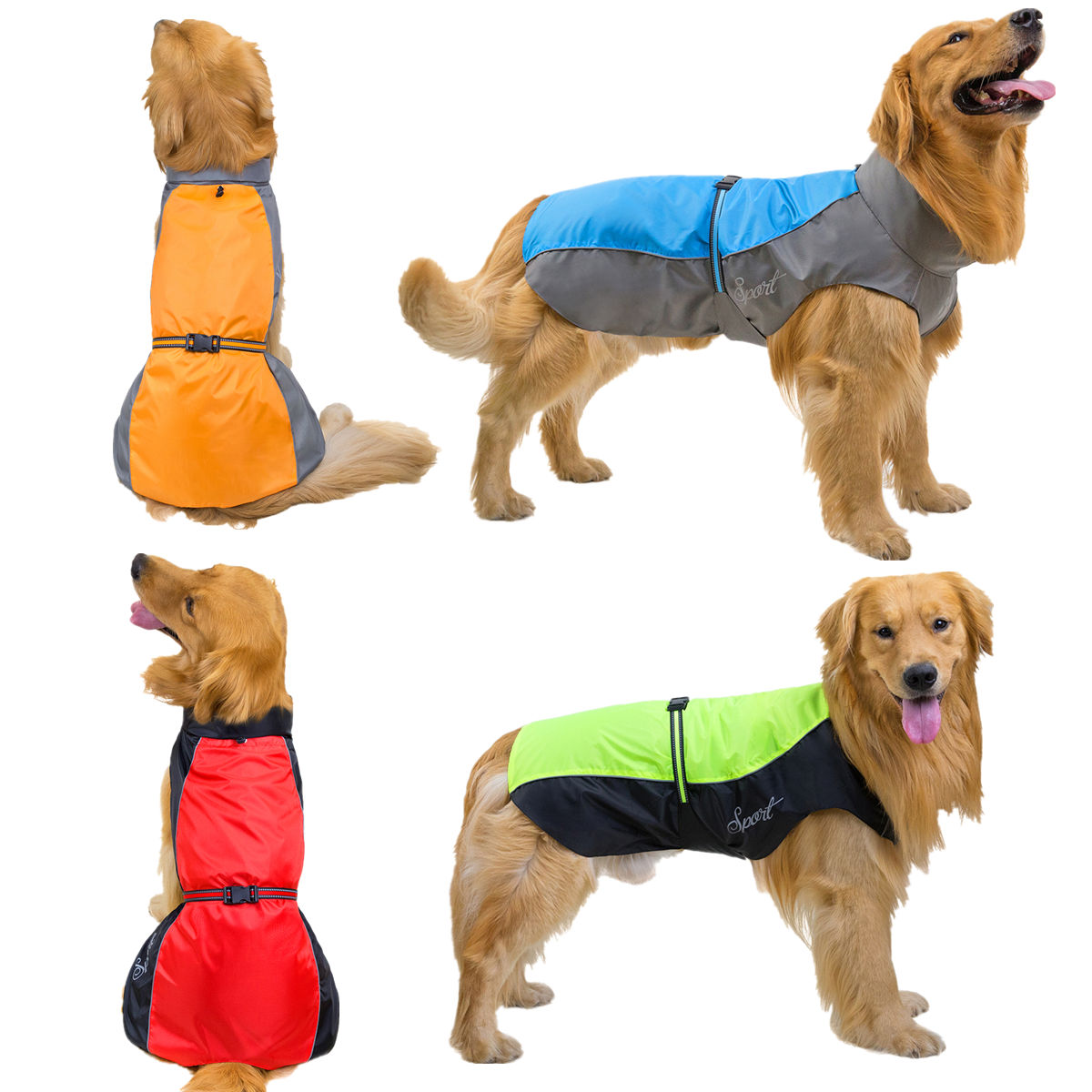 معطف واقٍ من المطر للكلاب مقاو - مراجعة Dog Raincoat وسعره