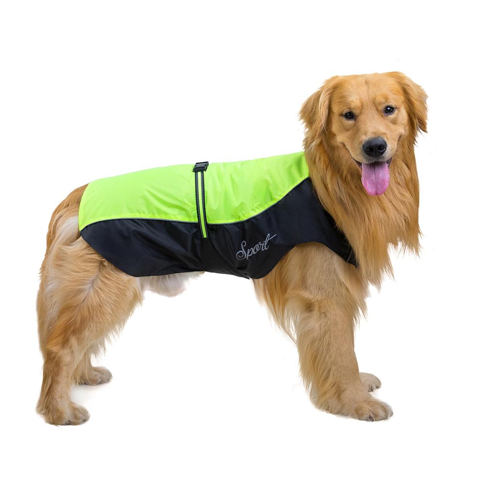 معطف واقٍ من المطر للكلاب مقاو - مراجعة Dog Raincoat وسعره
