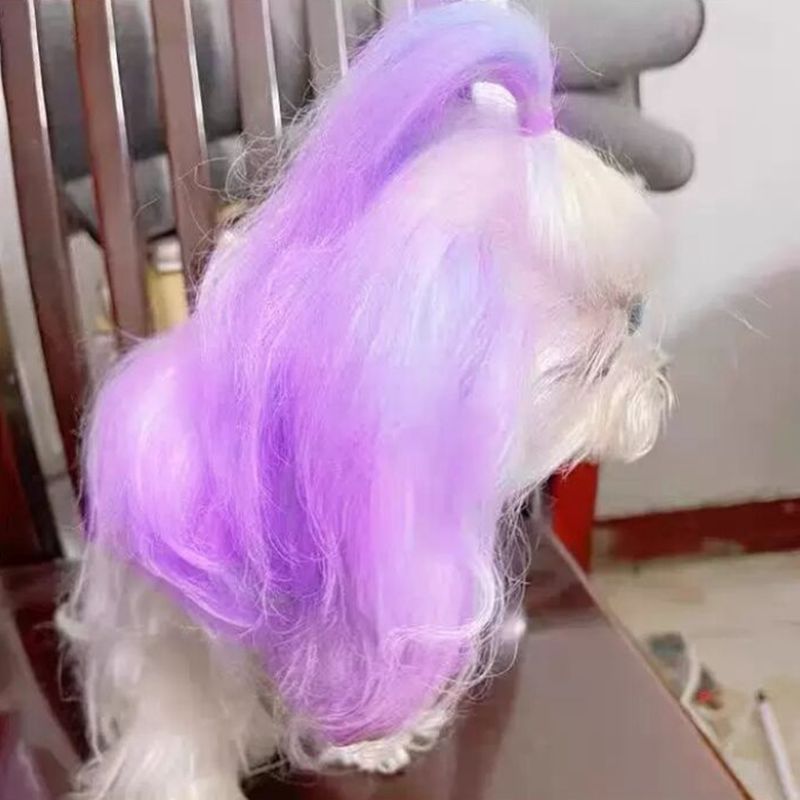 كريم صبغة شبه دائم للحيوانات ا - مراجعة Pet Supplies App وسعره