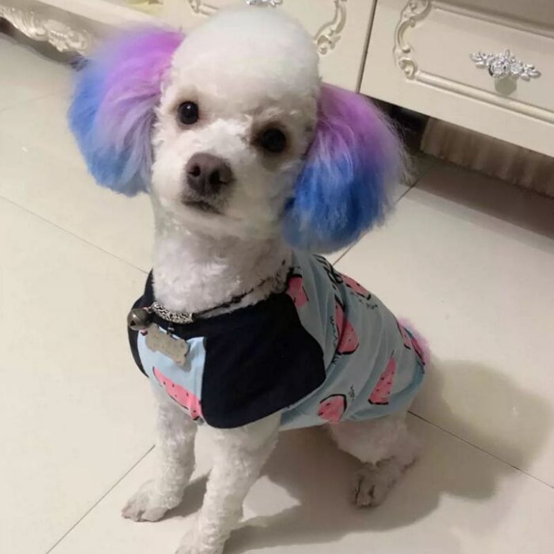 كريم صبغة شبه دائم للحيوانات ا - مراجعة Pet Supplies App وسعره
