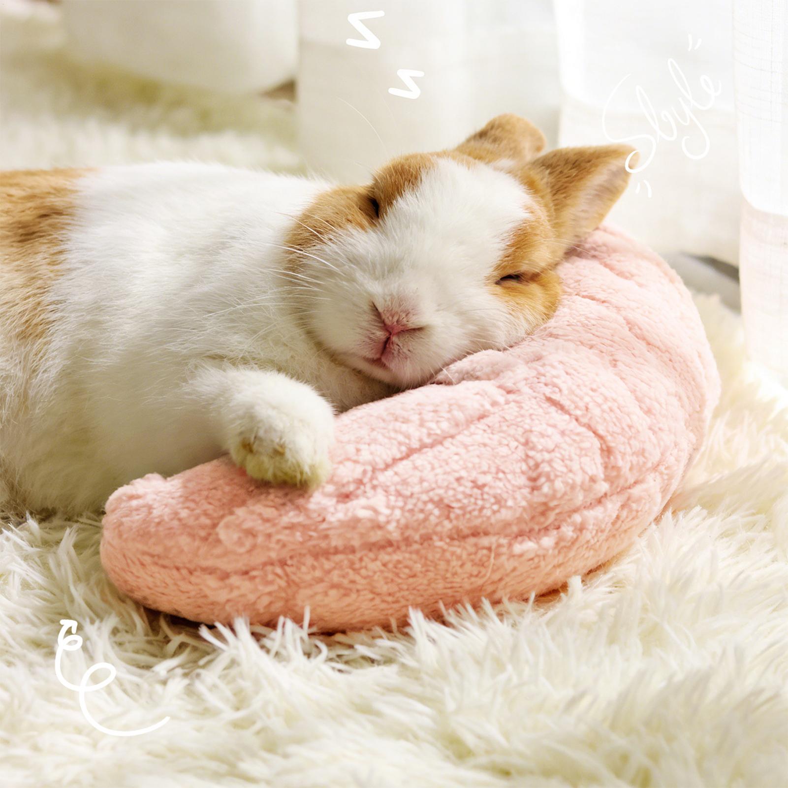 وسادة صغيرة للحيوانات الأليفة  - مراجعة Pet Supplies App وسعره